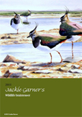 Jackie Garner's wildlife brainteasers