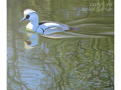 image of Slimbridge Smew