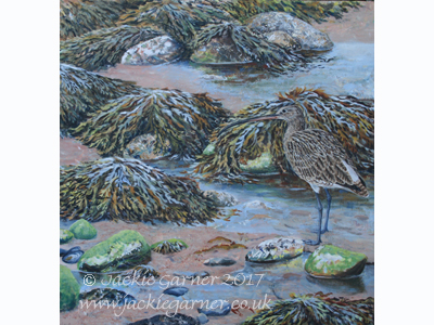 Curlew Camoflage, painting in acrylics