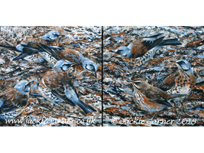 Fieldfares and Redwings
