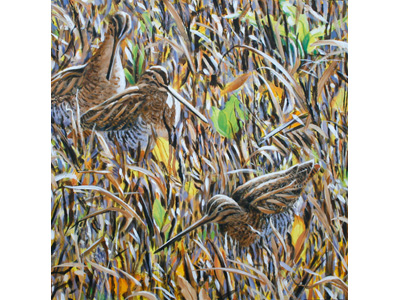 Stubble and Snipe painting in acrylics