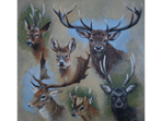 Six British Deer painting in acrylics