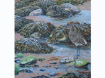 Curlew Camoflage, painting in acrylics