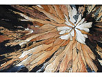 Force of Nature, painting in acrylics
