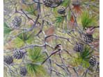 Flitting Through