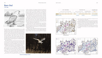Barn Owl pages from 'The Birds of Gloucestershire'