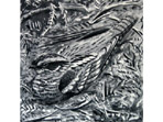 Nightjar painting in watercolour