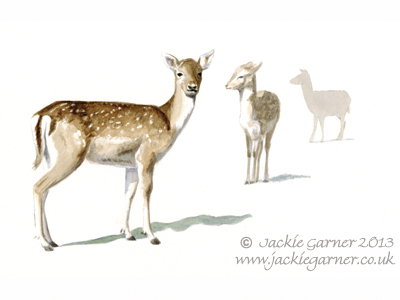 Acrylic painting Fallow Deer