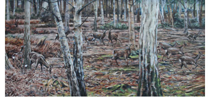 Sika Encounter