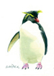 Rockhopper penguin painting