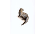 Otter