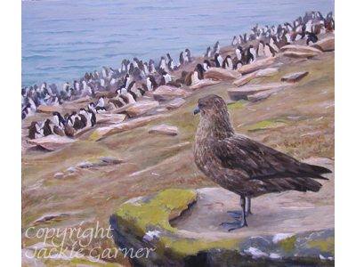 "The Lookout" acrylic painting of a skua and penguin colony