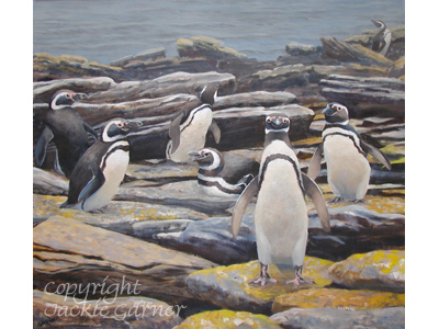 Magellanic Penguins
