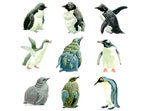 "Growing Up" penguin paintings and cards